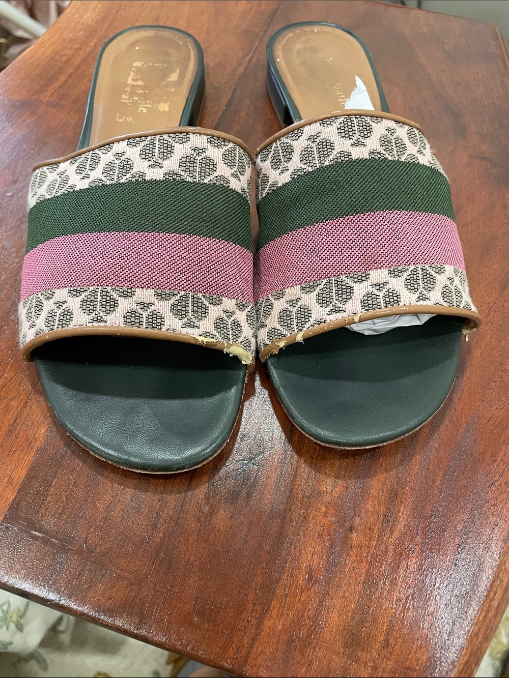 Kate Spade ♠️ Green and Pink Stripe Slide Sandals with Patterned Band